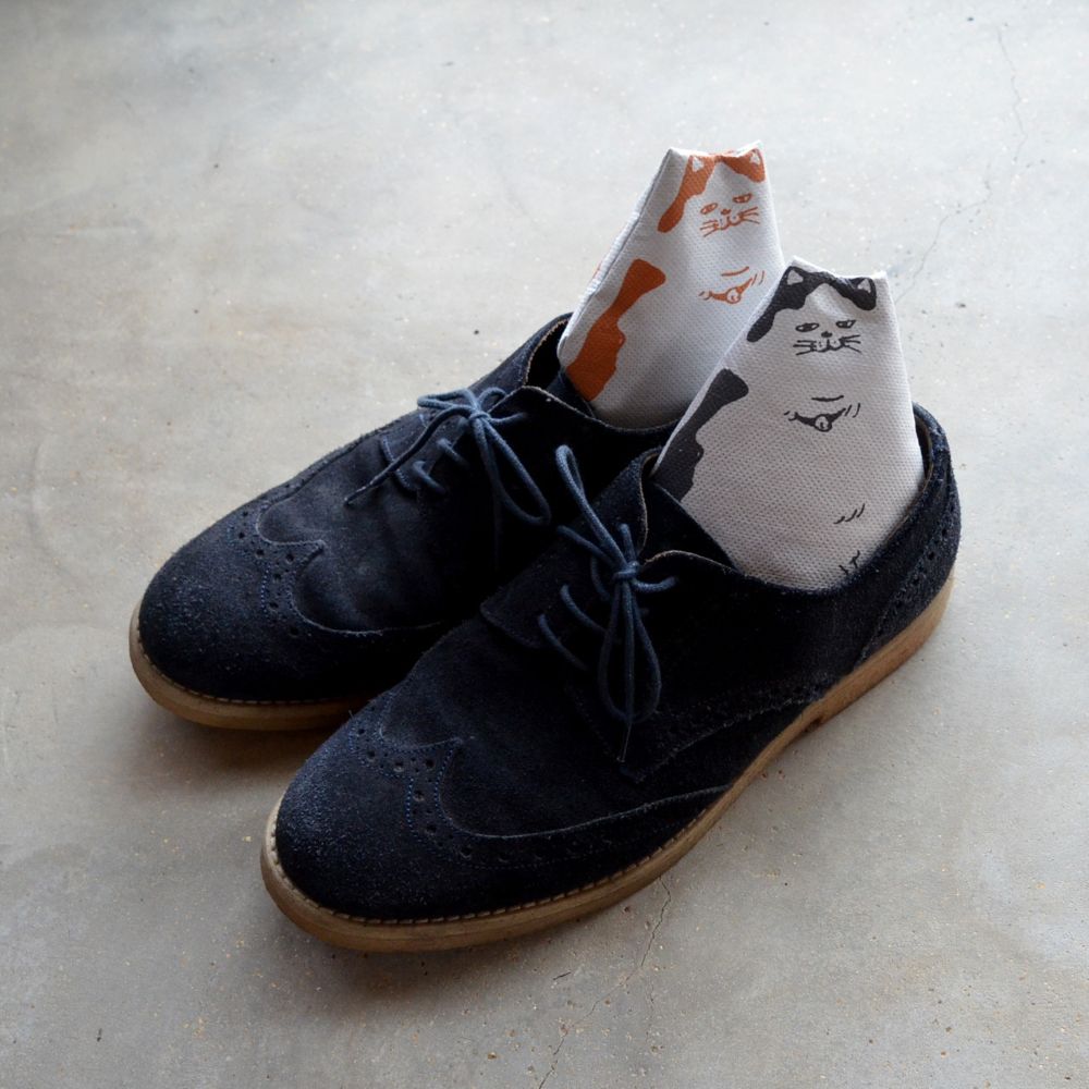 炭猫 チャコキャット