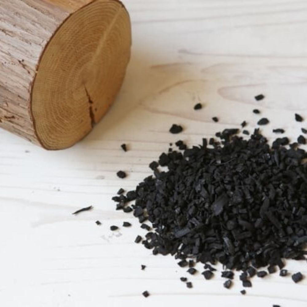 炭猫 チャコキャット