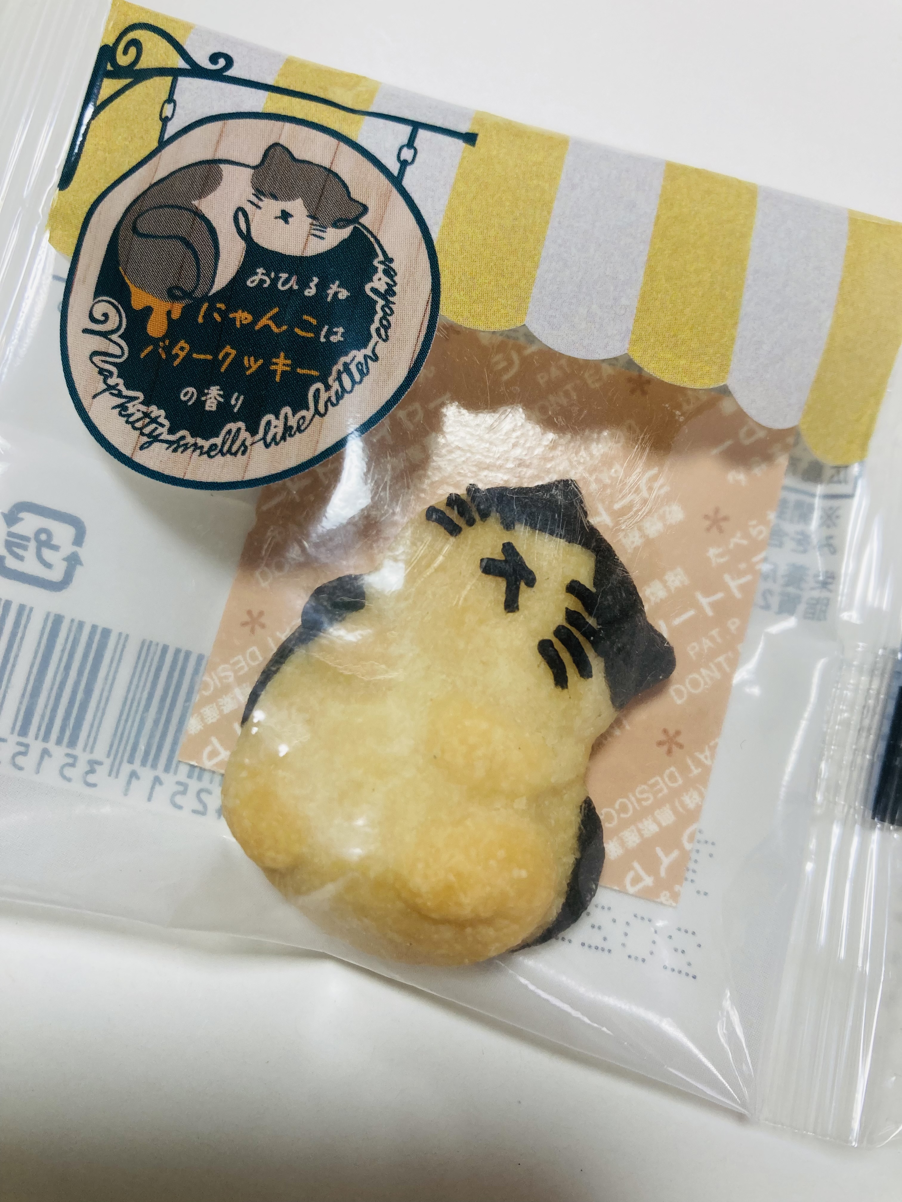 【ねこクッキー】おひるねにゃんこはバタークッキーの香り　ジェニ（ハチワレ）