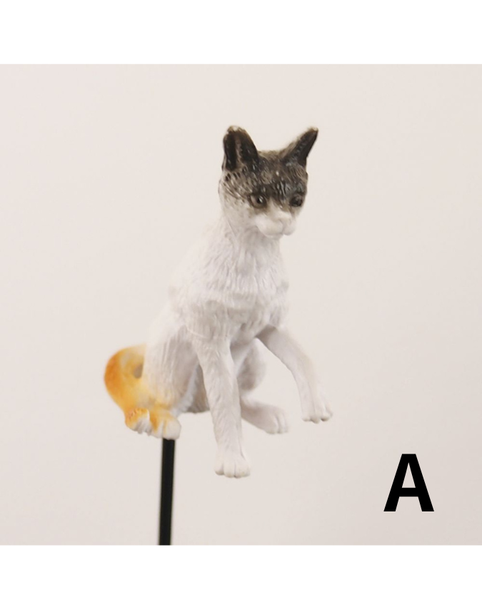 キャットピック 12種