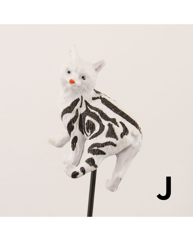 キャットピック 12種