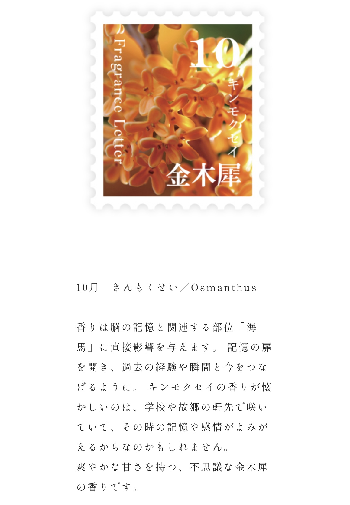 Fragrance　Letter　ディフューザー