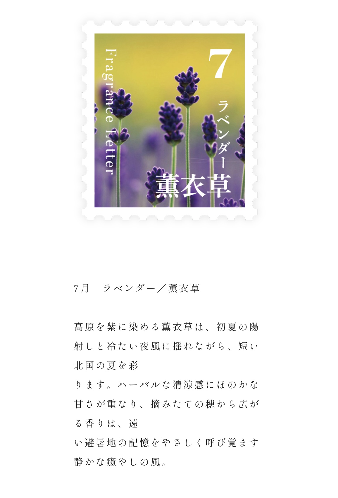 Fragrance　Letter　ディフューザー