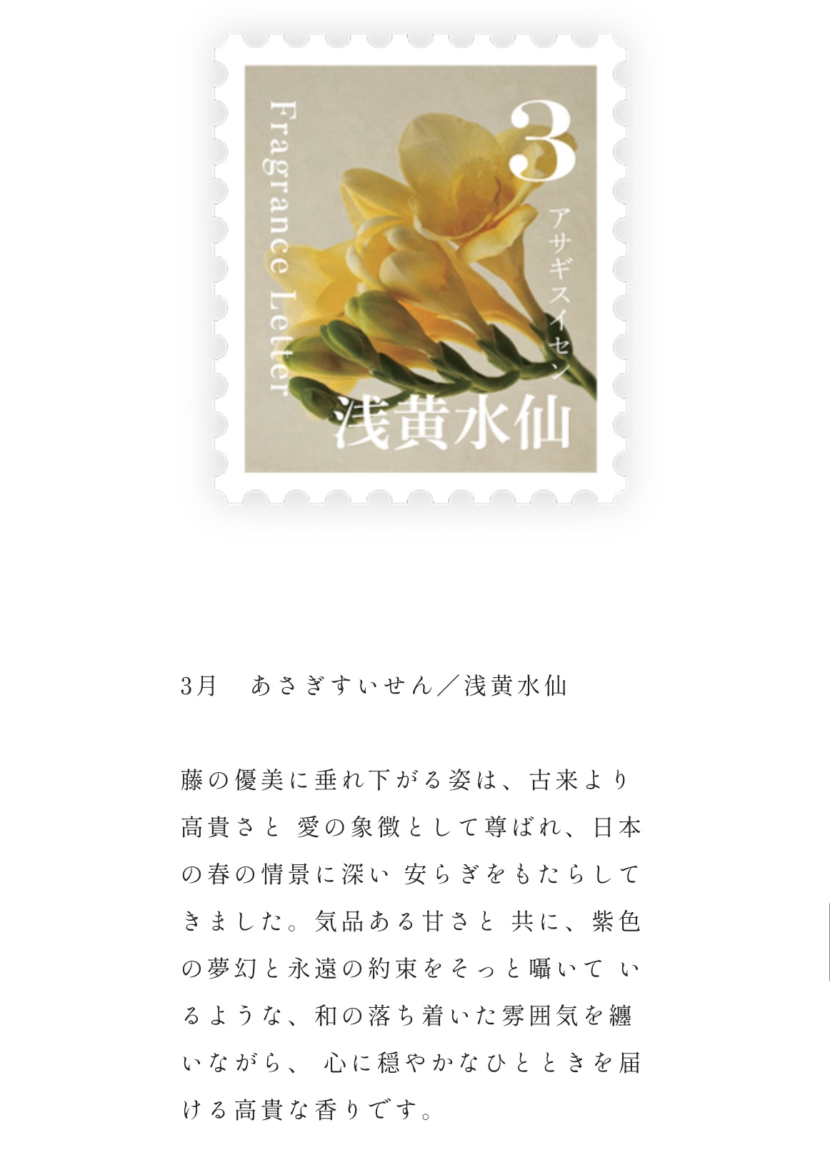 Fragrance　Letter　ディフューザー