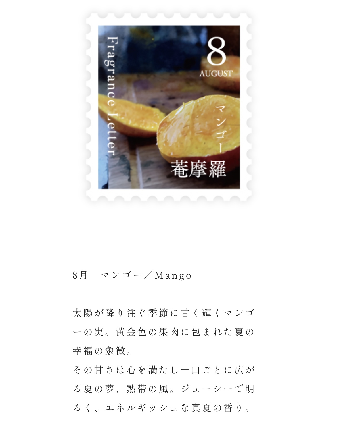 Fragrance　Letter　ディフューザー